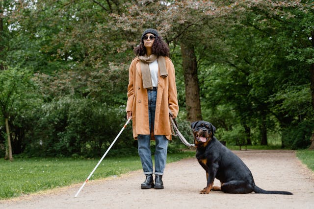 woman in brown coat and blue denim jeans standing beside a guide dog